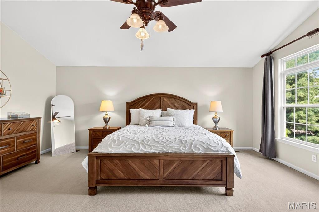 1505 Cedar Ridge Drive O'Fallon, IL 62269 - Photo 36 of 62 Gallery Image 36