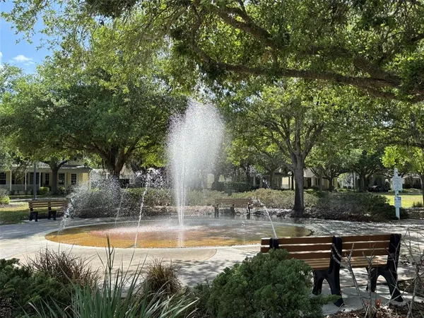 a view of a park with large trees