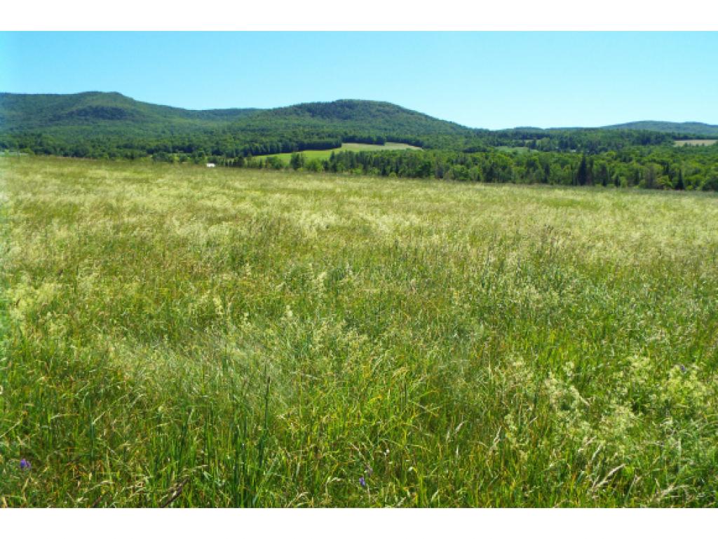 5 Brookside Road Kirby, VT 05851 - Photo 1 of 10 Gallery Image 1