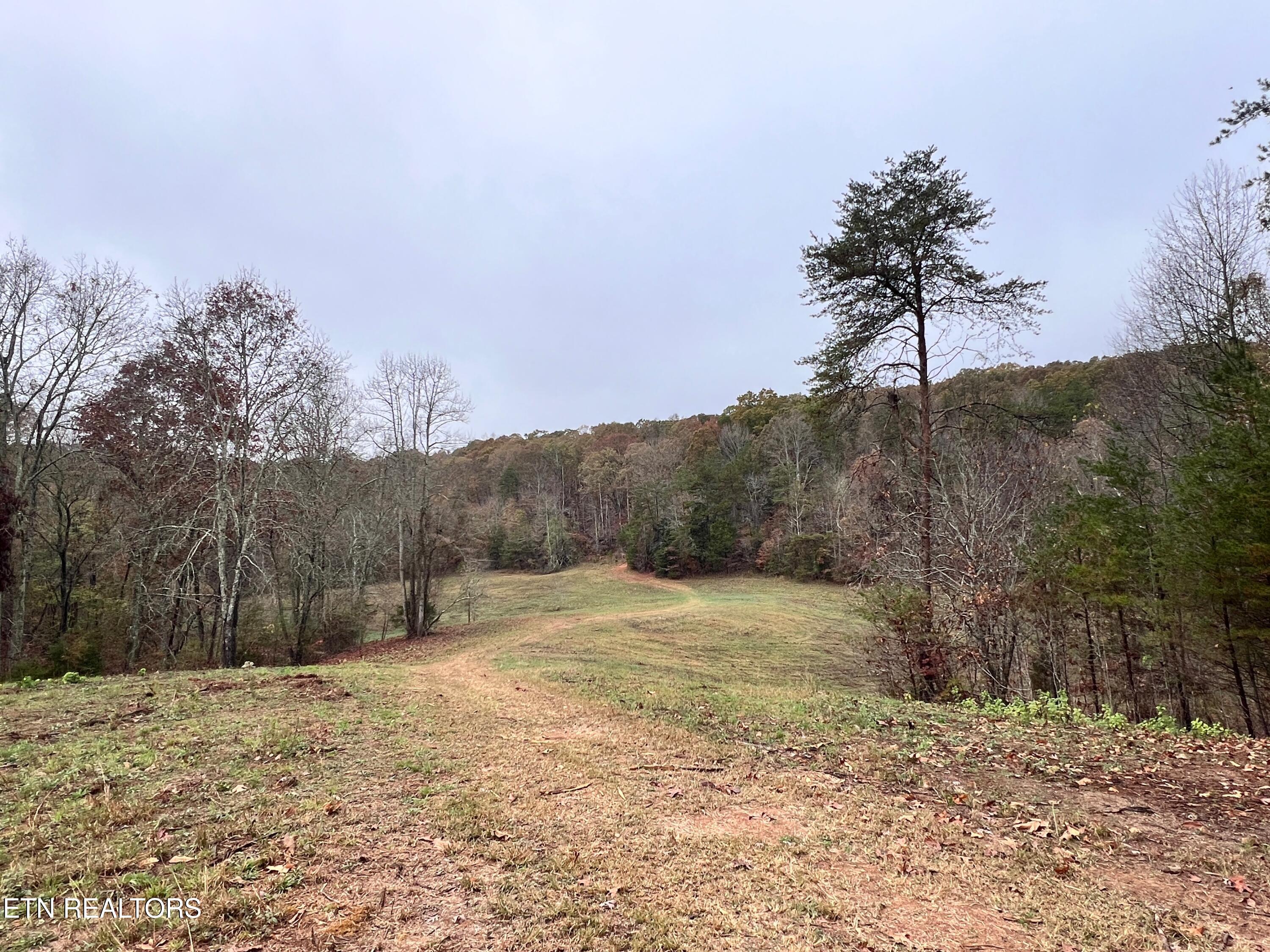 Lot 3 Raby Hollow Road Kingston, TN 37763 - Photo 1 of 8 IMG_1587 2