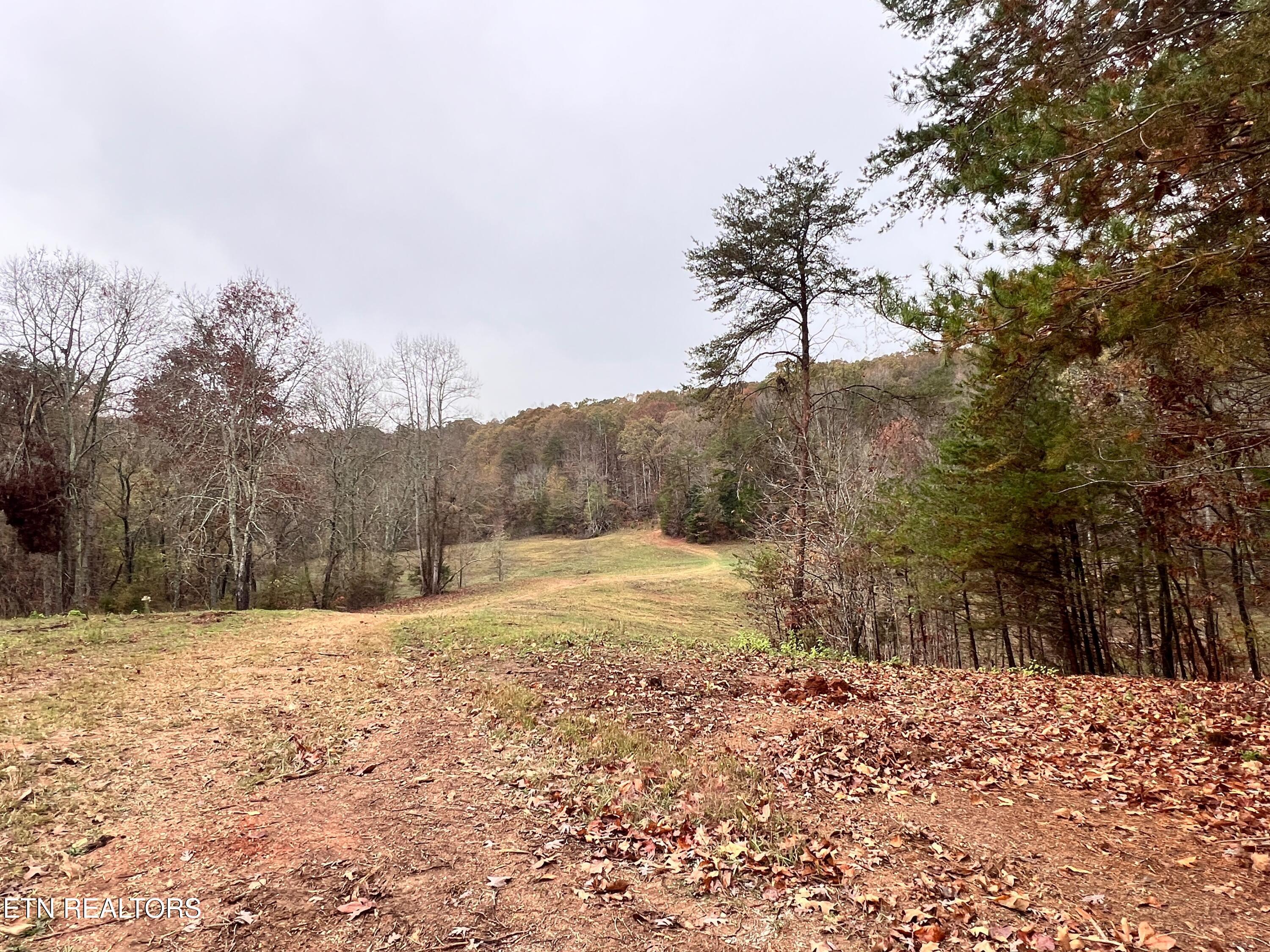 Lot 3 Raby Hollow Road Kingston, TN 37763 - Photo 2 of 8 IMG_1586 2