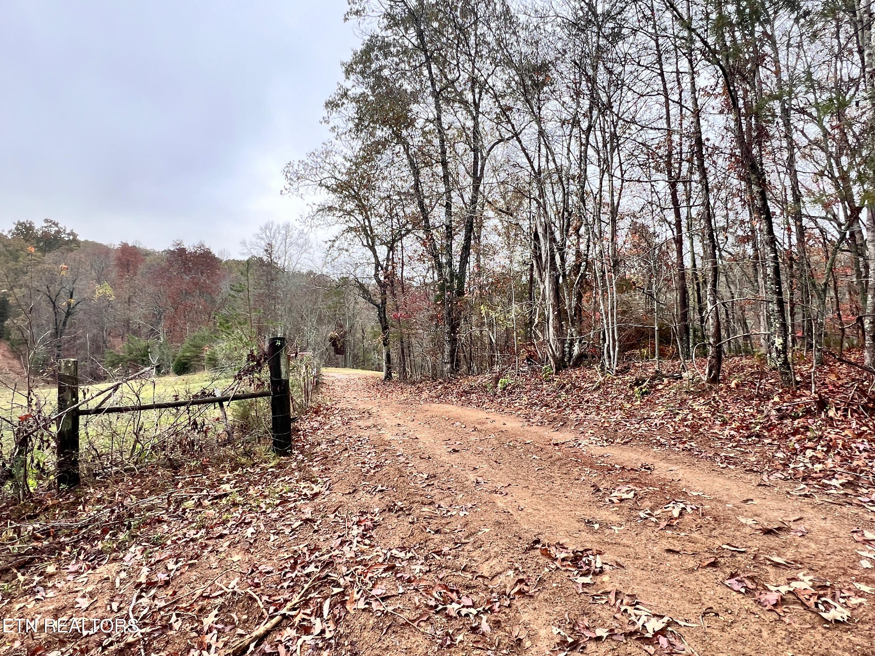 Lot 3 Raby Hollow Road Kingston, TN 37763 - Photo 3 of 8 IMG_1585 2