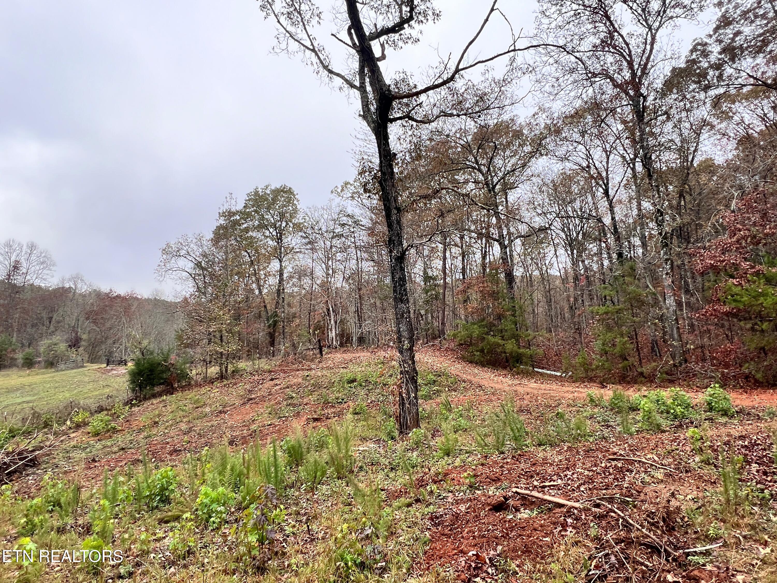 Lot 3 Raby Hollow Road Kingston, TN 37763 - Photo 4 of 8 IMG_1583 2
