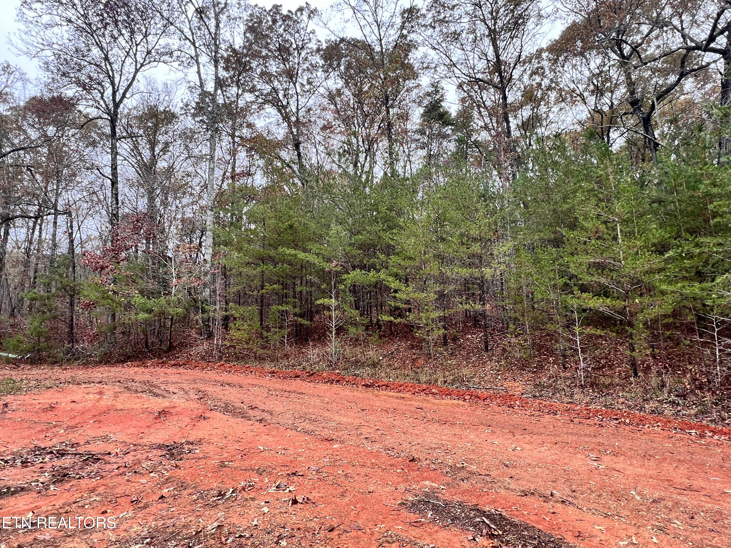 Lot 3 Raby Hollow Road Kingston, TN 37763 - Photo 7 of 8 IMG_1582 2