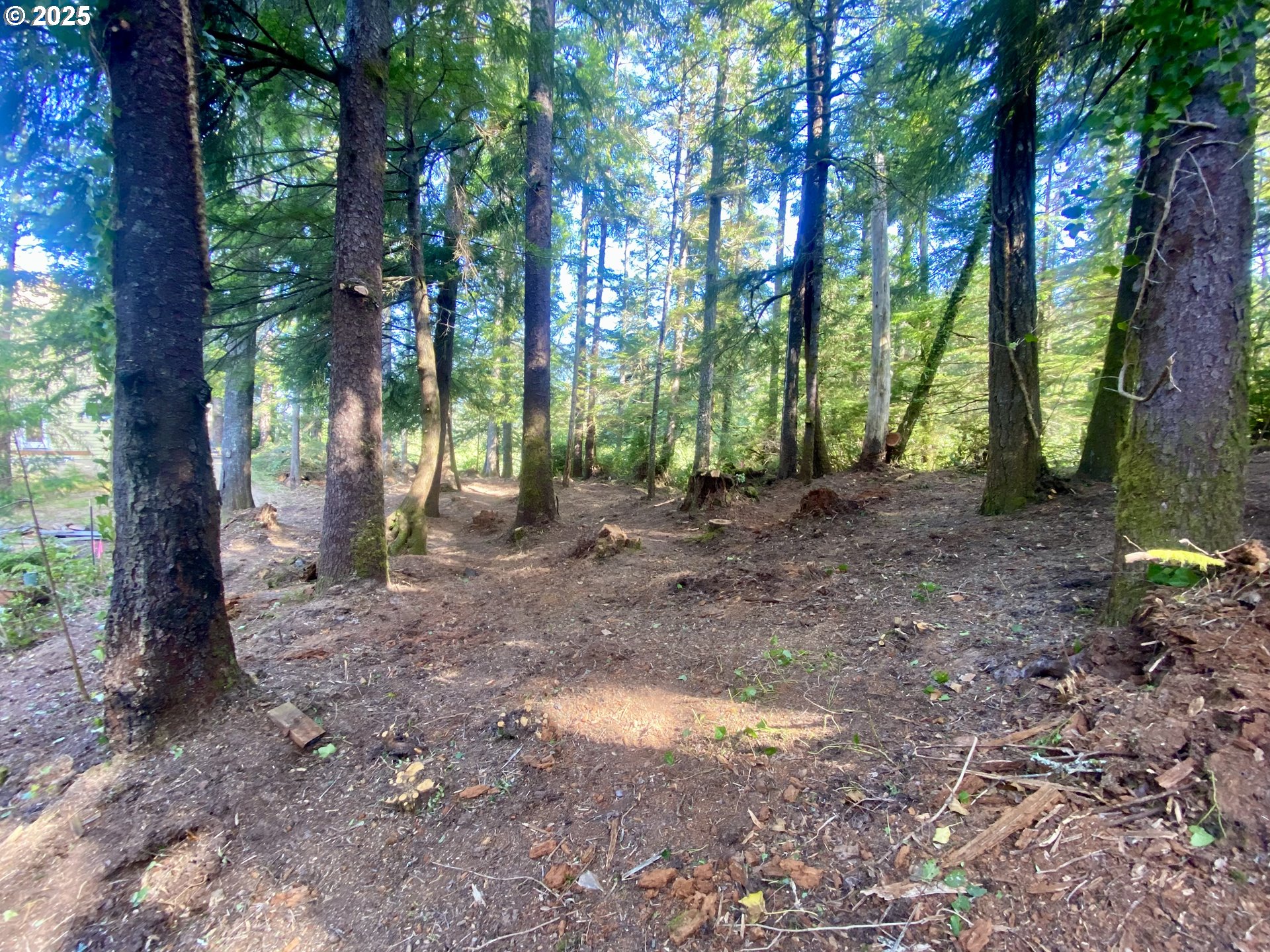 0 18th Manzanita, OR 97130 - Photo 11 of 19 a view of outdoor space with trees