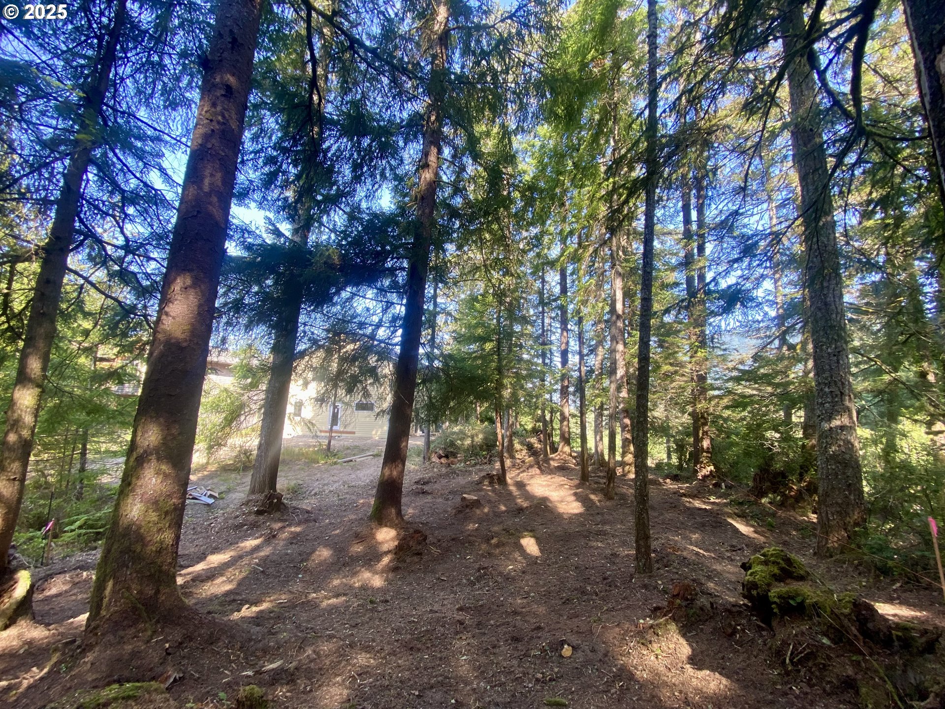 0 18th Manzanita, OR 97130 - Photo 12 of 19