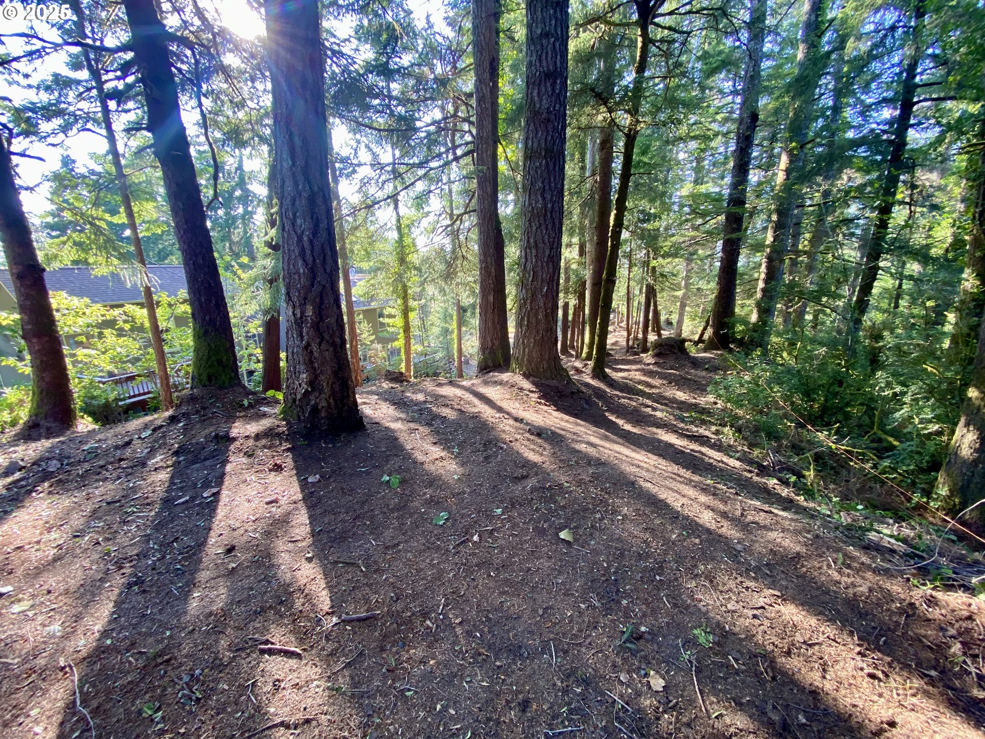 0 18th Manzanita, OR 97130 - Photo 13 of 19 a view of a backyard with large trees and a small barn