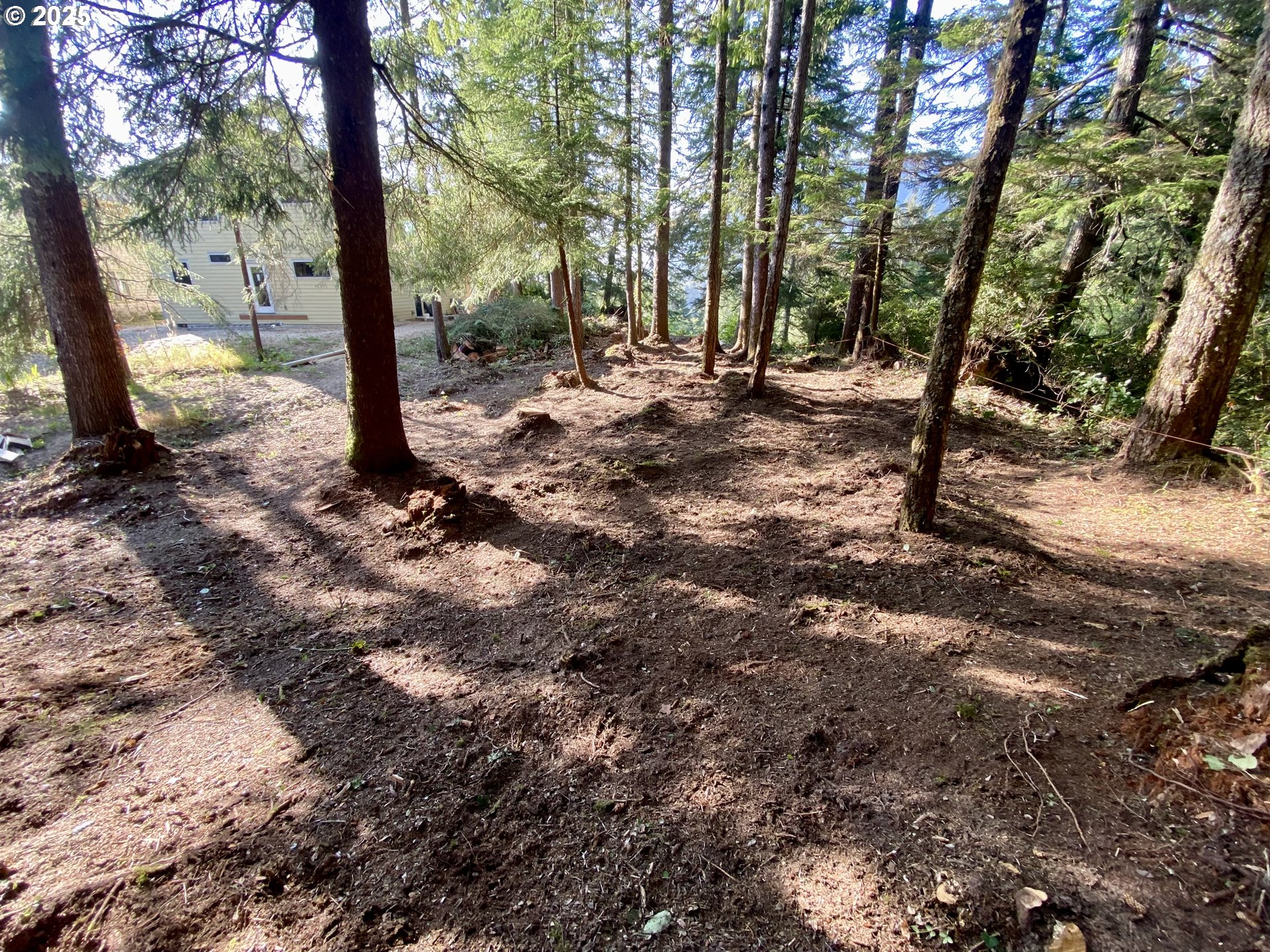 0 18th Manzanita, OR 97130 - Photo 14 of 19 a view of a forest filled with trees