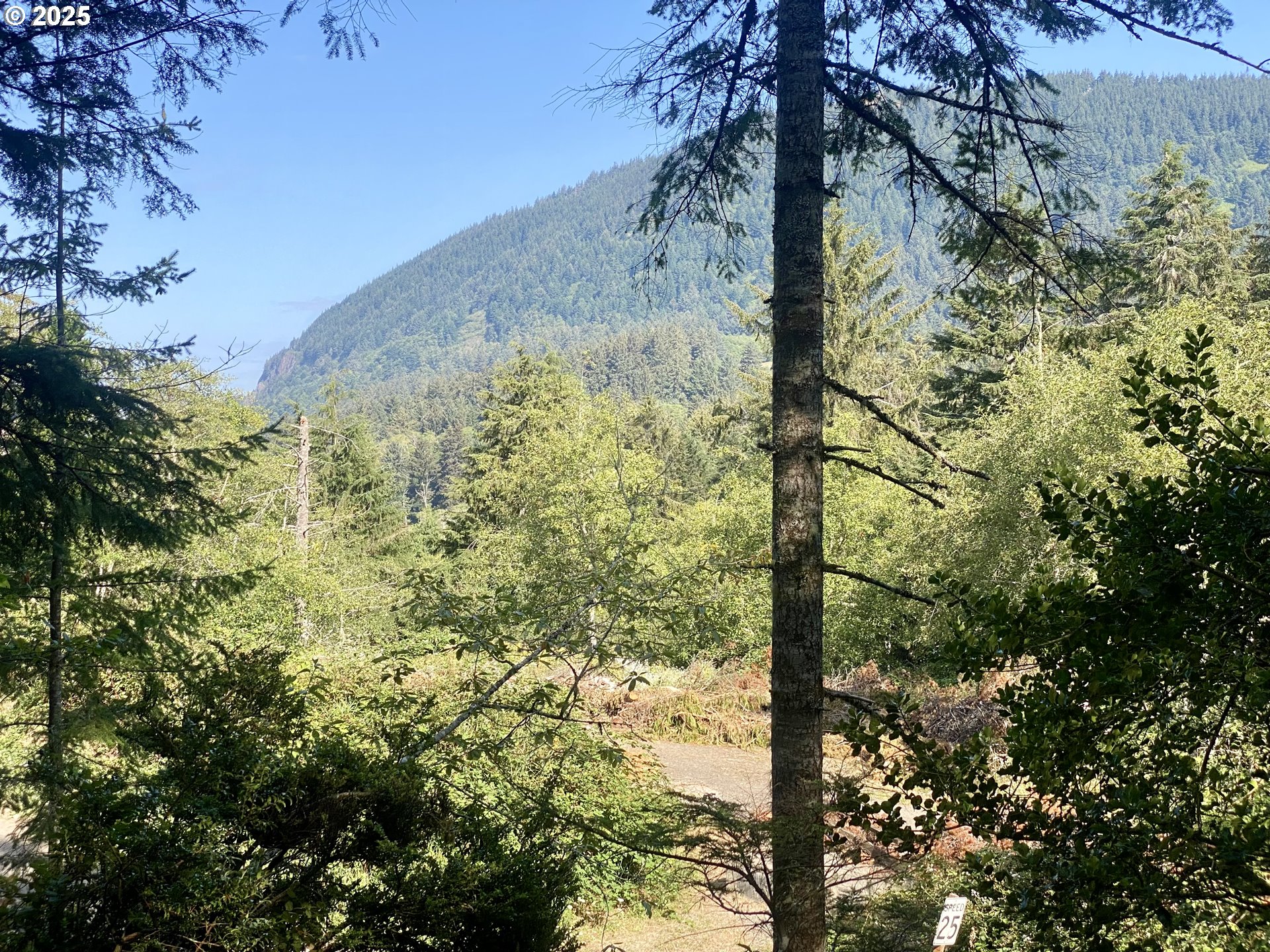 0 18th Manzanita, OR 97130 - Photo 19 of 19 a view of a yard with plants and tree