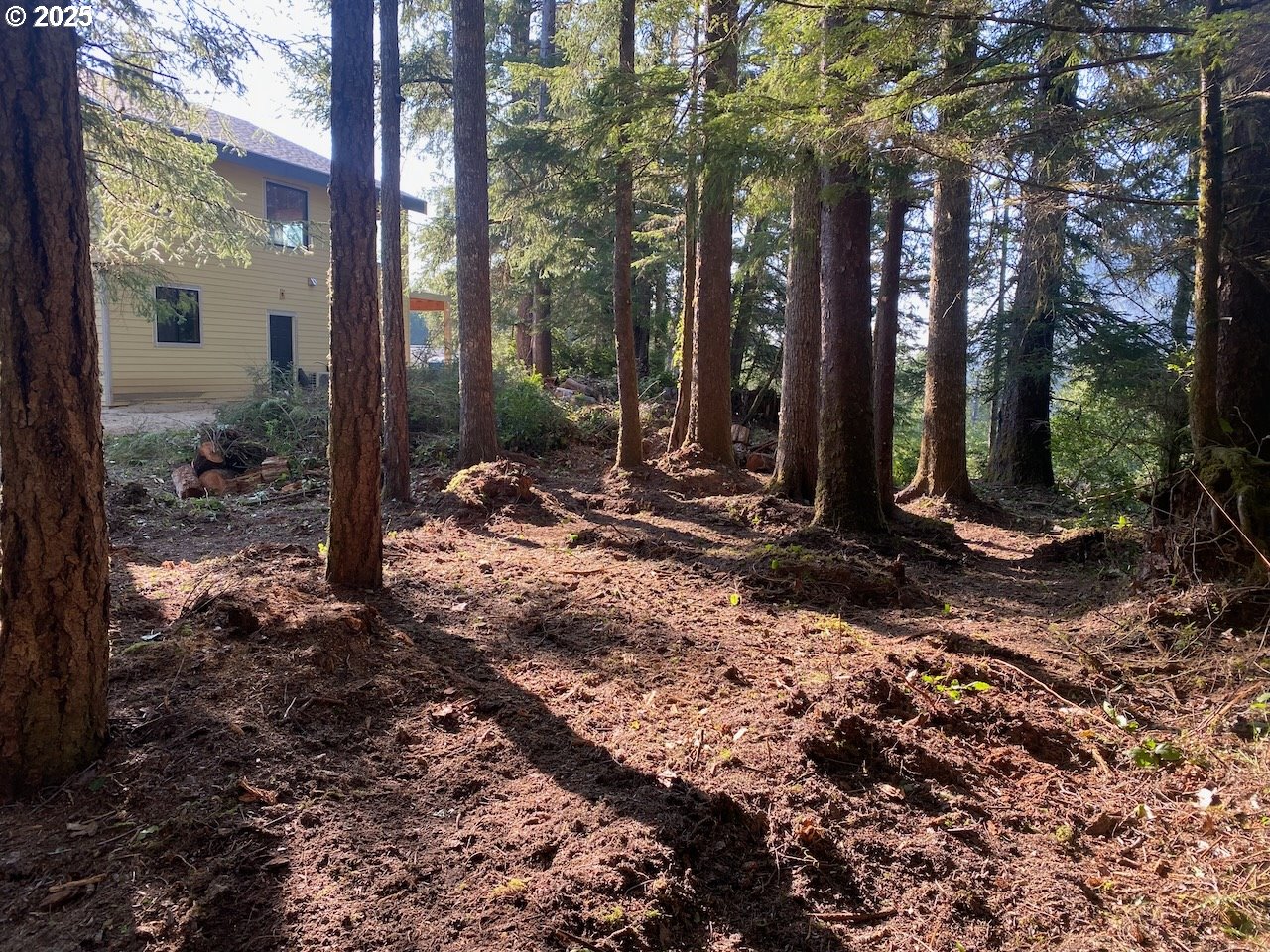0 18th Manzanita, OR 97130 - Photo 3 of 19 a view of a backyard of the house