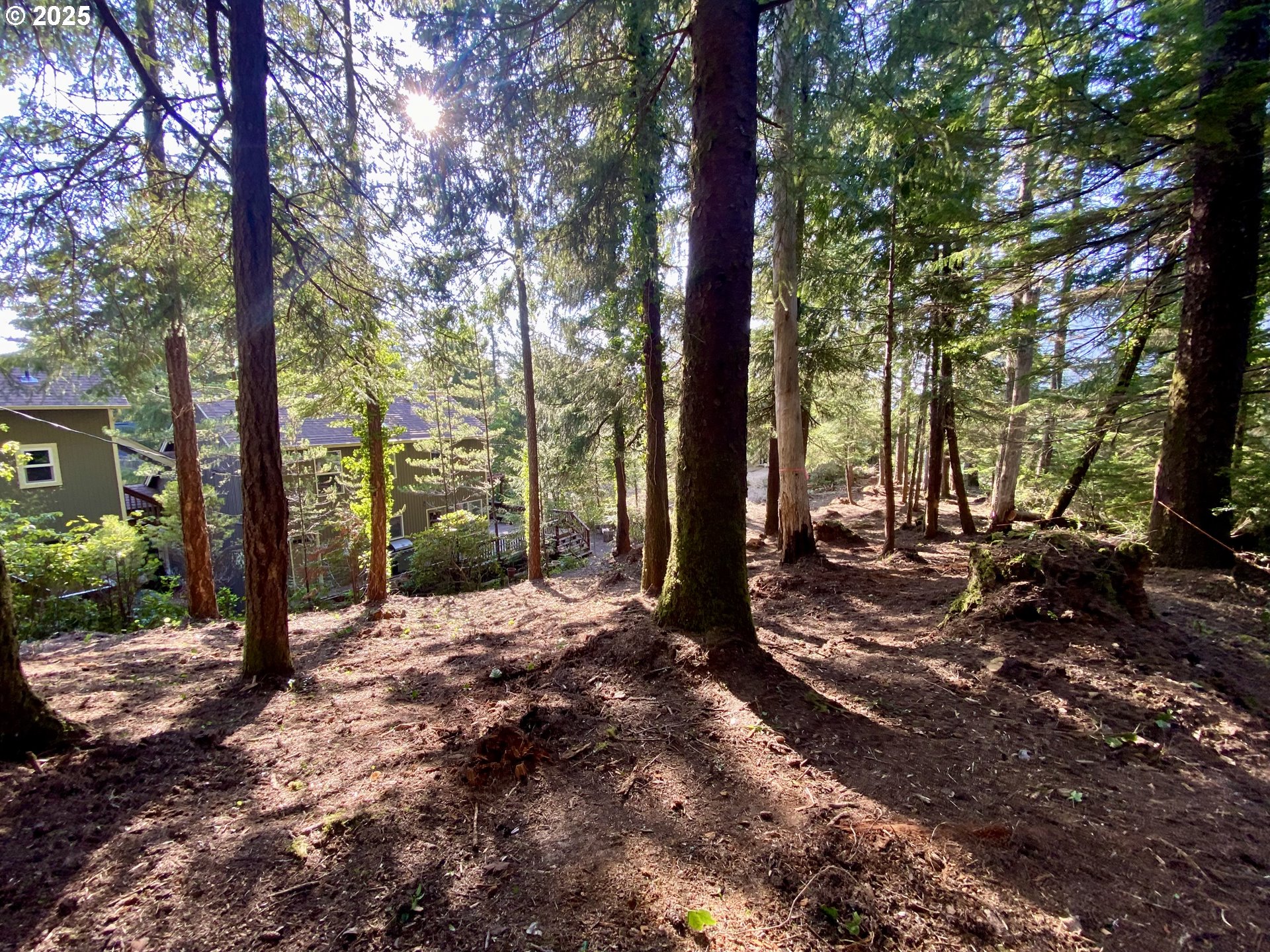 0 18th Manzanita, OR 97130 - Photo 5 of 19 a view of a tree in the middle of a yard