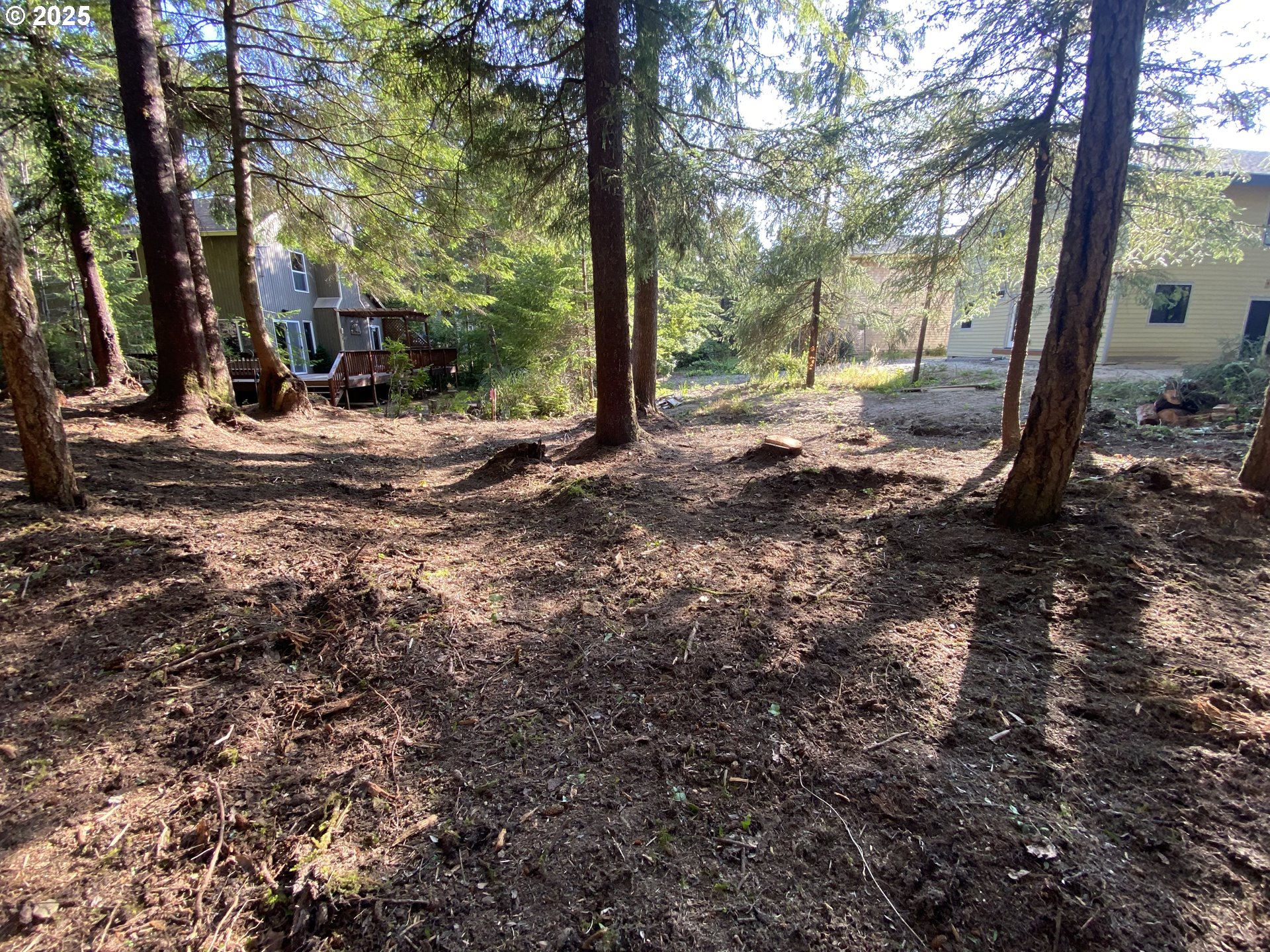 0 18th Manzanita, OR 97130 - Photo 7 of 19 a view of a tree with a tree