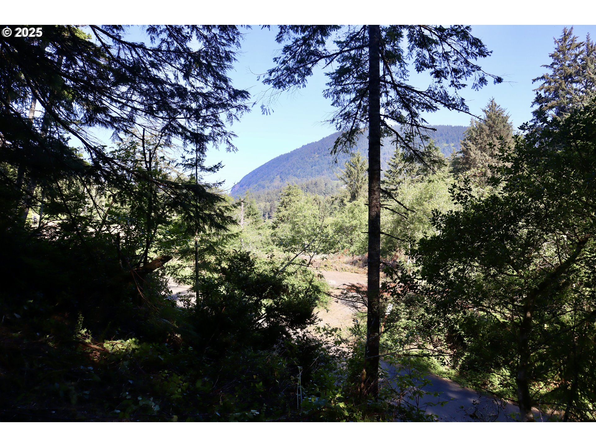 0 18th Manzanita, OR 97130 - Photo 9 of 19