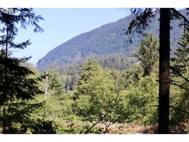 a view of a backyard with large trees and a small barn