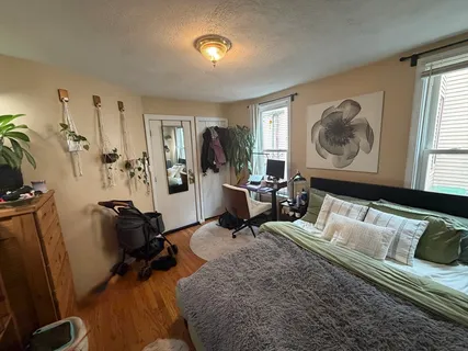 a living room with furniture a rug potted plant and a window