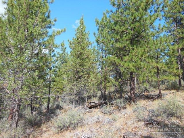 17785 Wilt Road Sisters, OR 97759 - Photo 14 of 25 a view of a forest with trees in the background