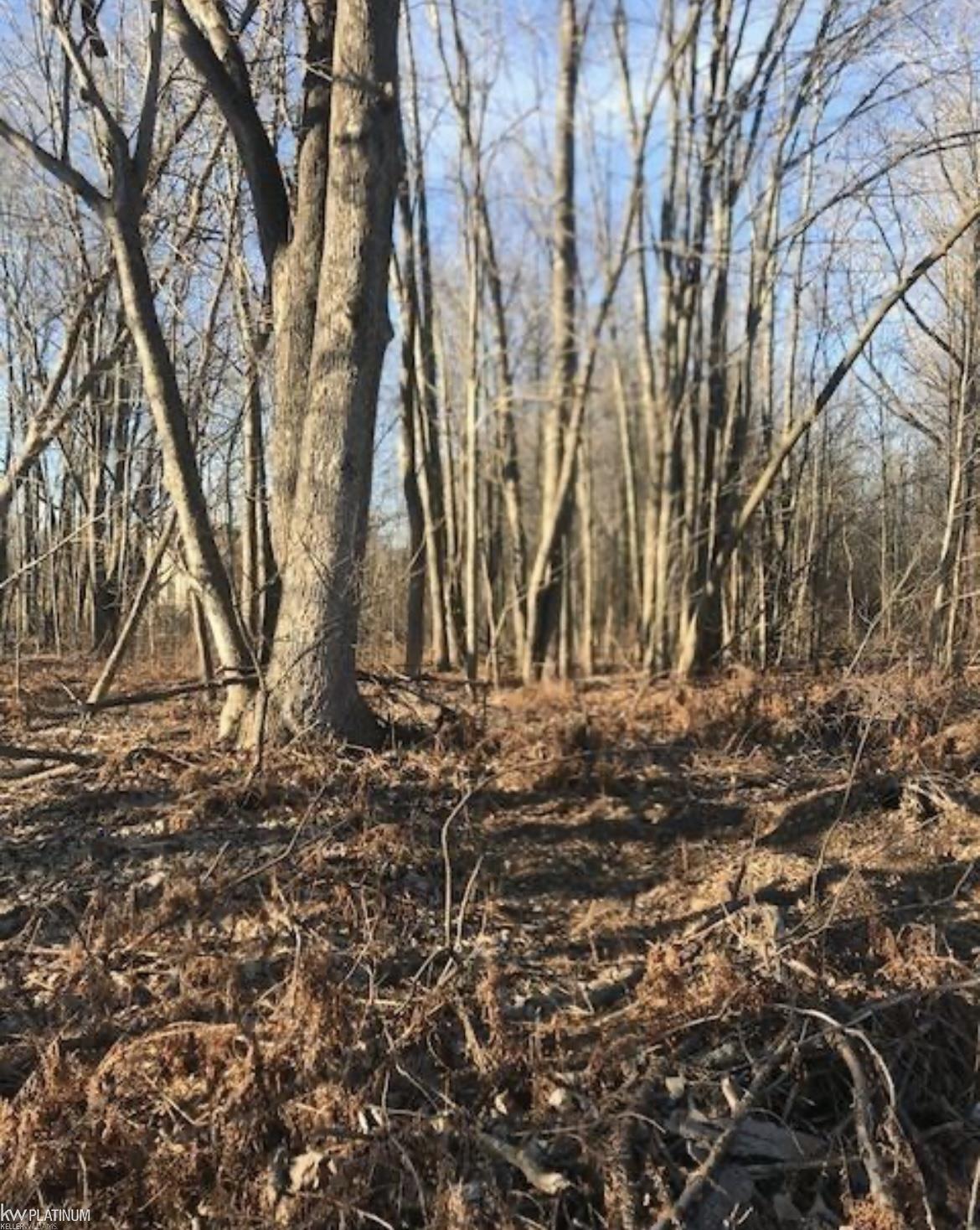 Vacant Swartout Road Algonac, MI 48001 - Photo 5 of 5