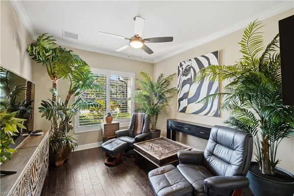 a living room with furniture and a potted plant