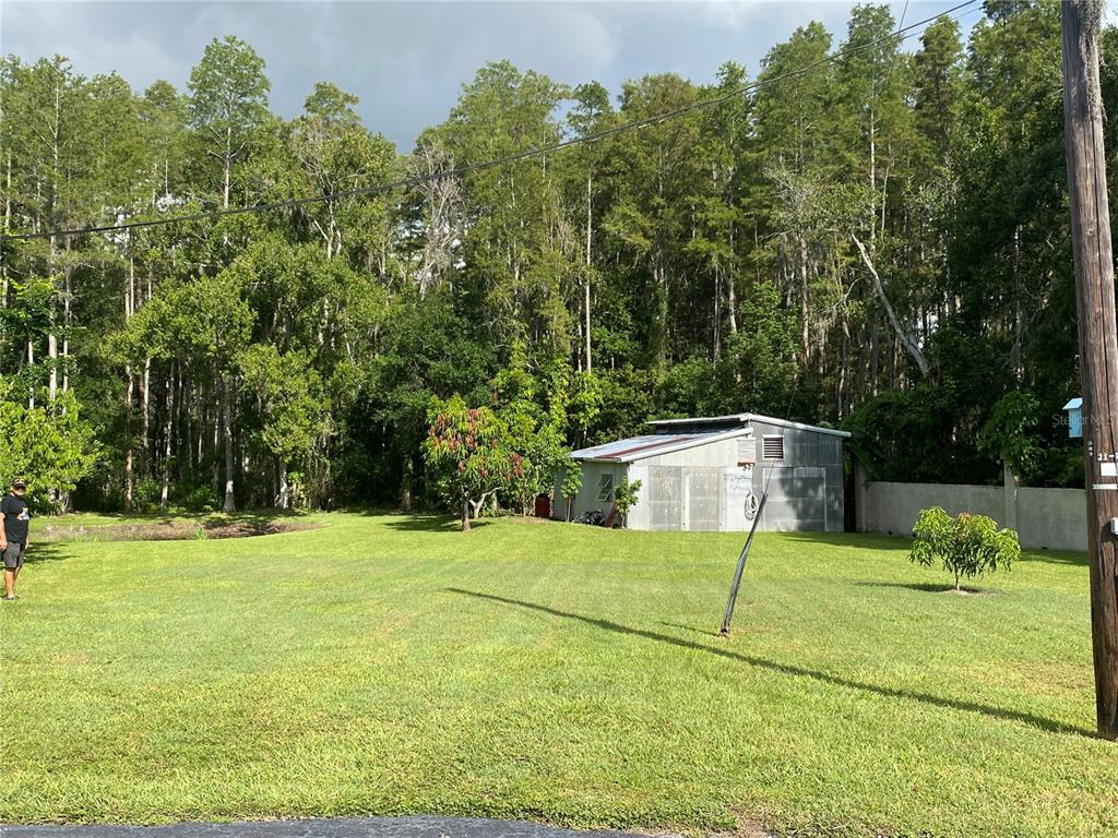 16918 Tobacco Road Lutz, FL 33558 - Photo 76 of 99 Gallery Image 76