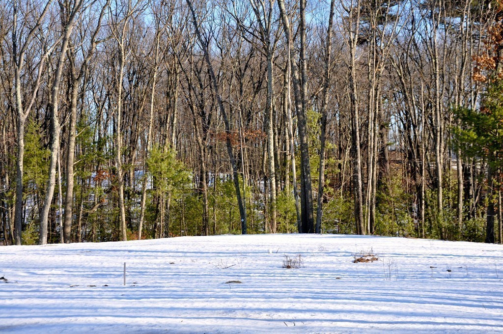 50 Mill Pond Road Bolton, MA 01740 - Photo 23 of 23