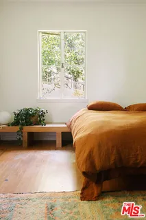 a potted plant sitting in front of a window