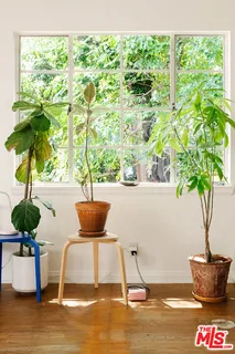 a view of a vase of flowers sitting on a table with a potted plant