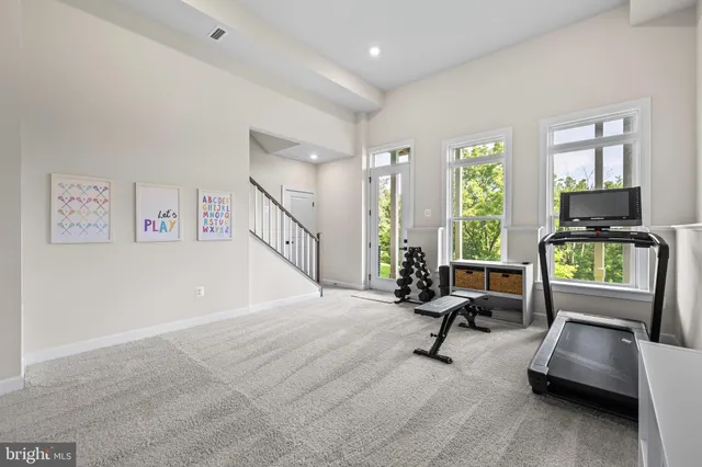 a view of staircase with lots of frames and flower plants