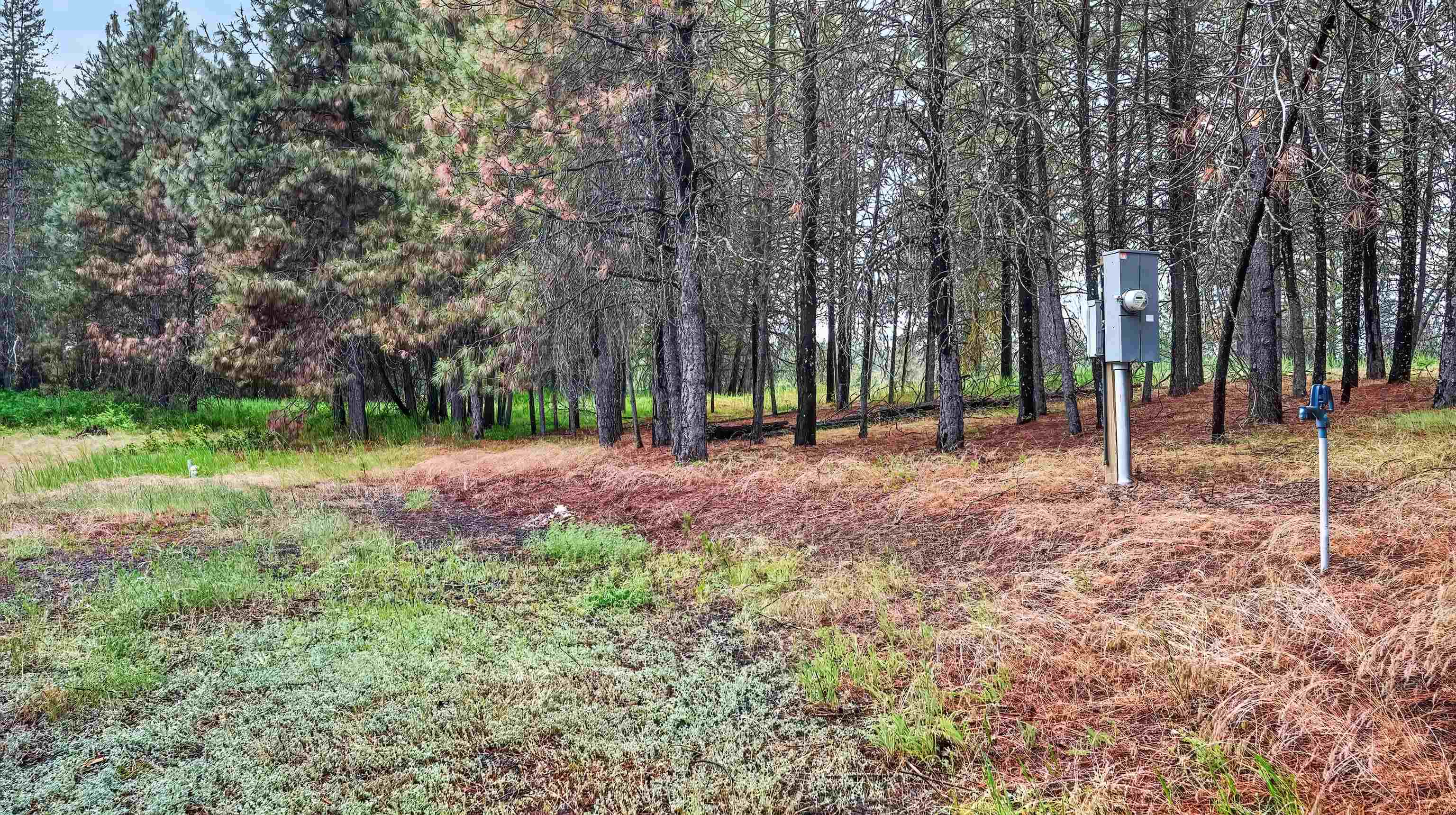 515 West Chattaroy Road Colbert, WA 99005 - Photo 47 of 50