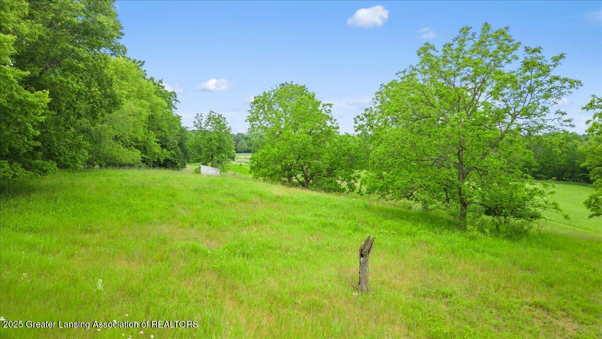 0 West Curtice Road Eaton Rapids, MI 48827 - Photo 3 of 12 07-Media Jett - 04