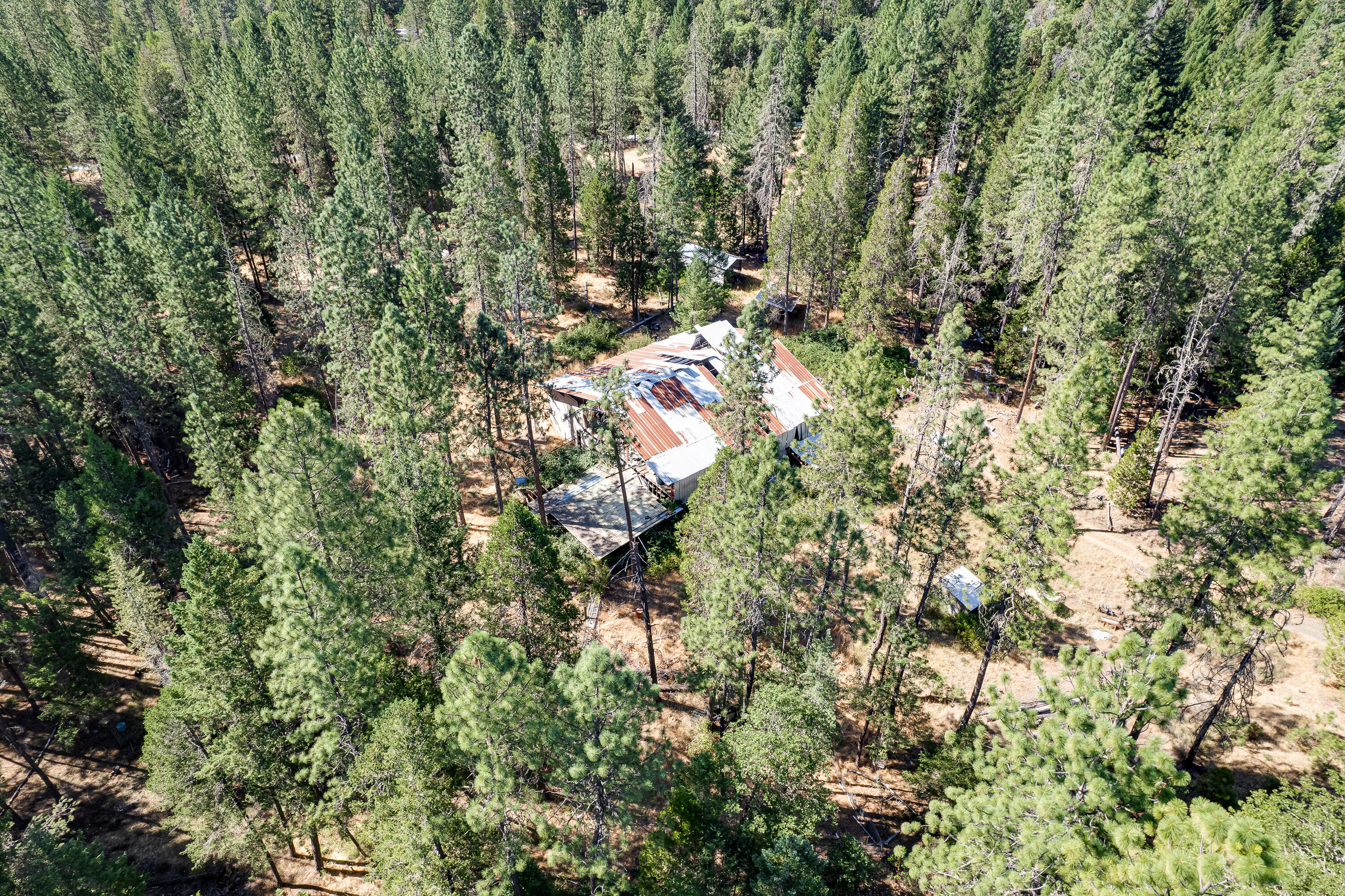 9184 West Evans Creek Road Rogue River, OR 97537 - Photo 12 of 29 a view of yard