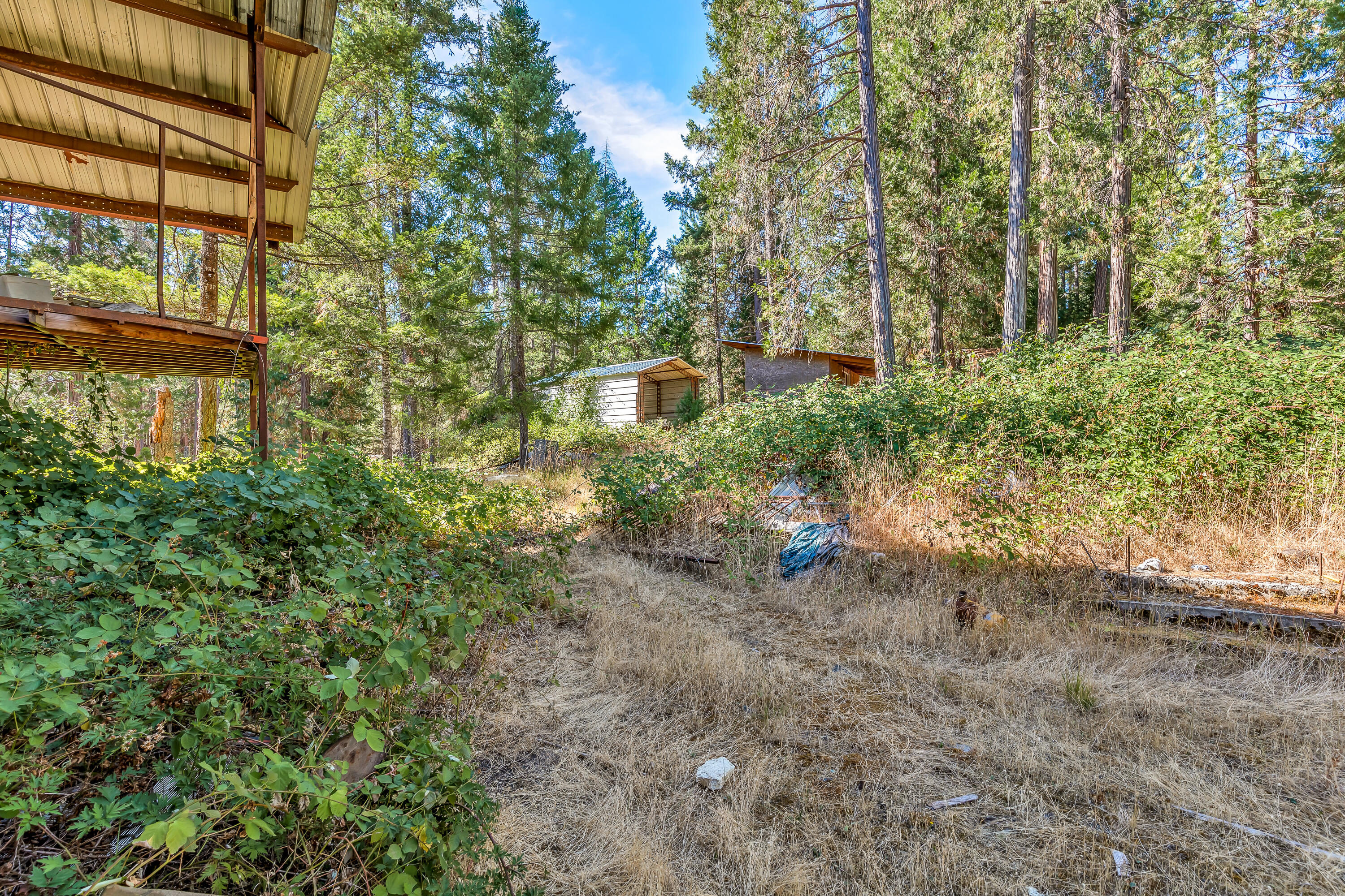 9184 West Evans Creek Road Rogue River, OR 97537 - Photo 16 of 29 a view of a house with a yard