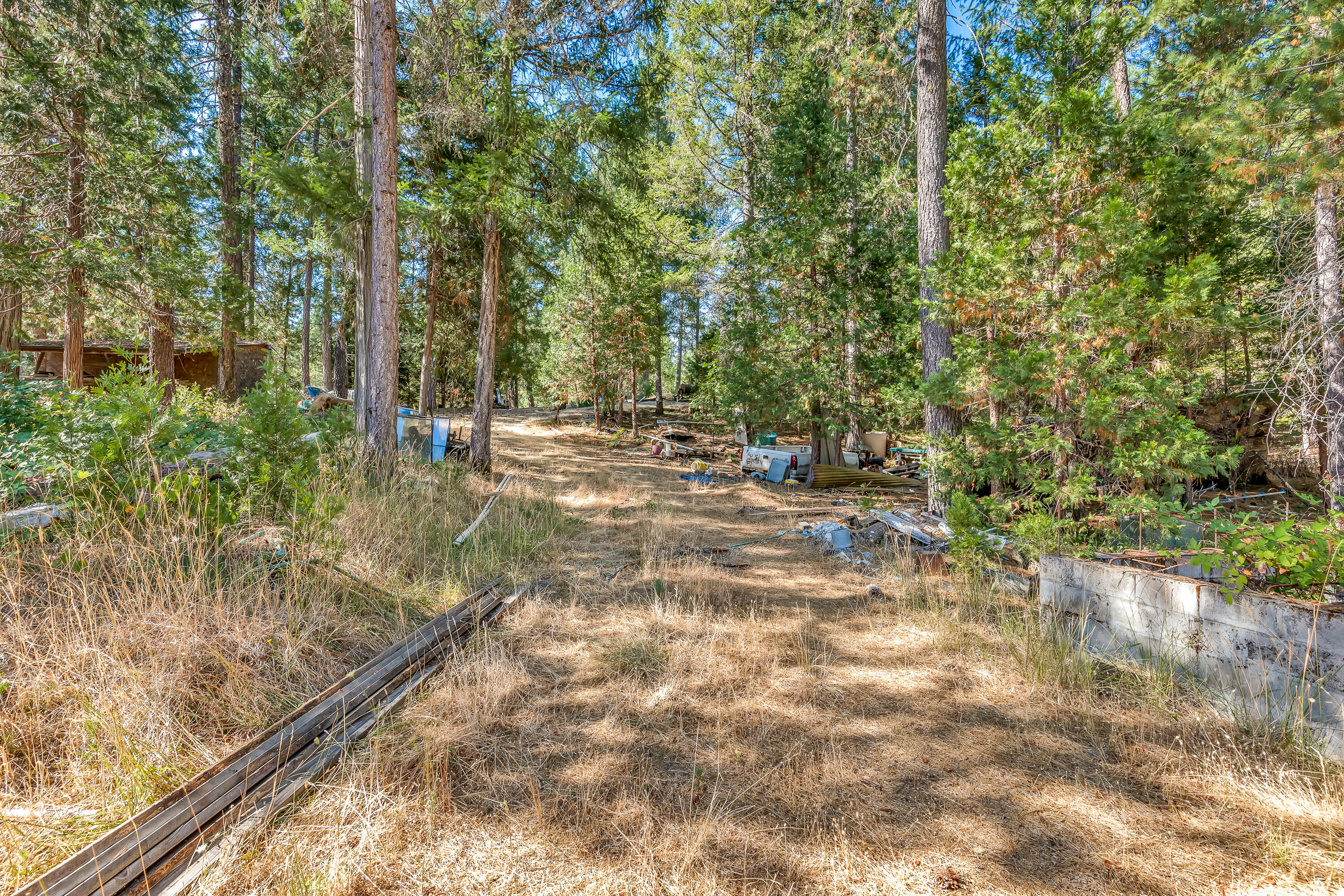 9184 West Evans Creek Road Rogue River, OR 97537 - Photo 19 of 29 a view of a yard with plants and trees