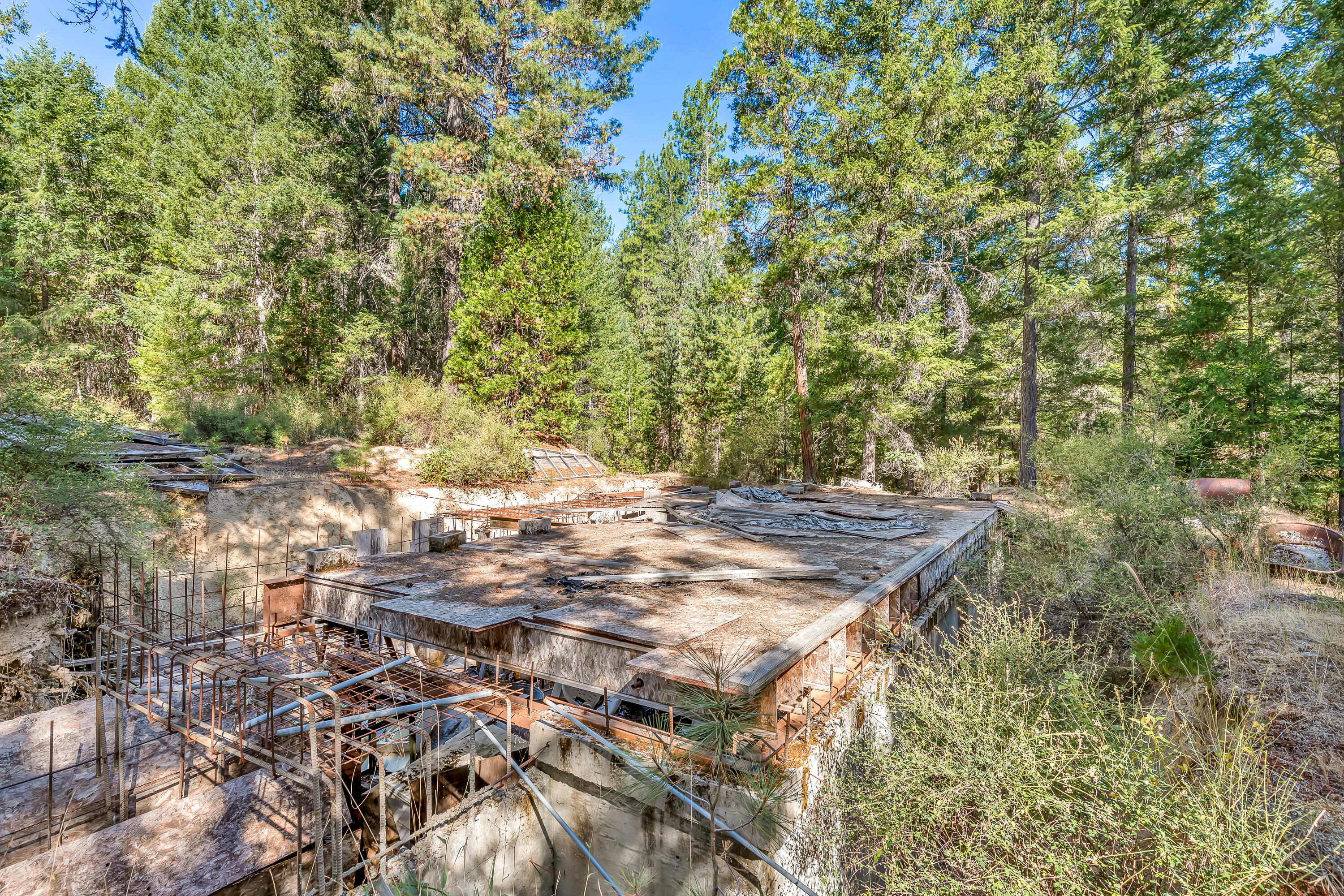 9184 West Evans Creek Road Rogue River, OR 97537 - Photo 20 of 29 a view of a yard with a tree
