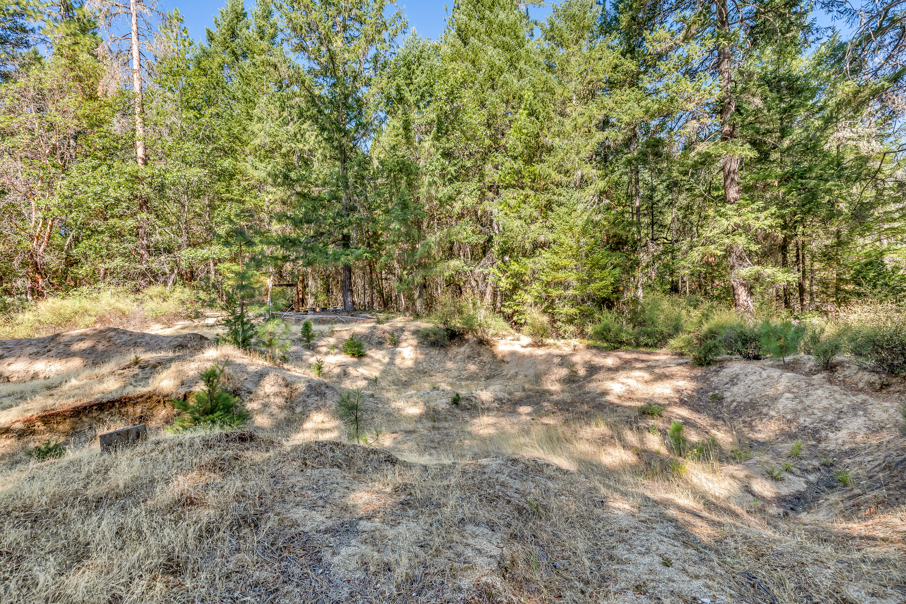 9184 West Evans Creek Road Rogue River, OR 97537 - Photo 22 of 29 a view of a yard with a tree