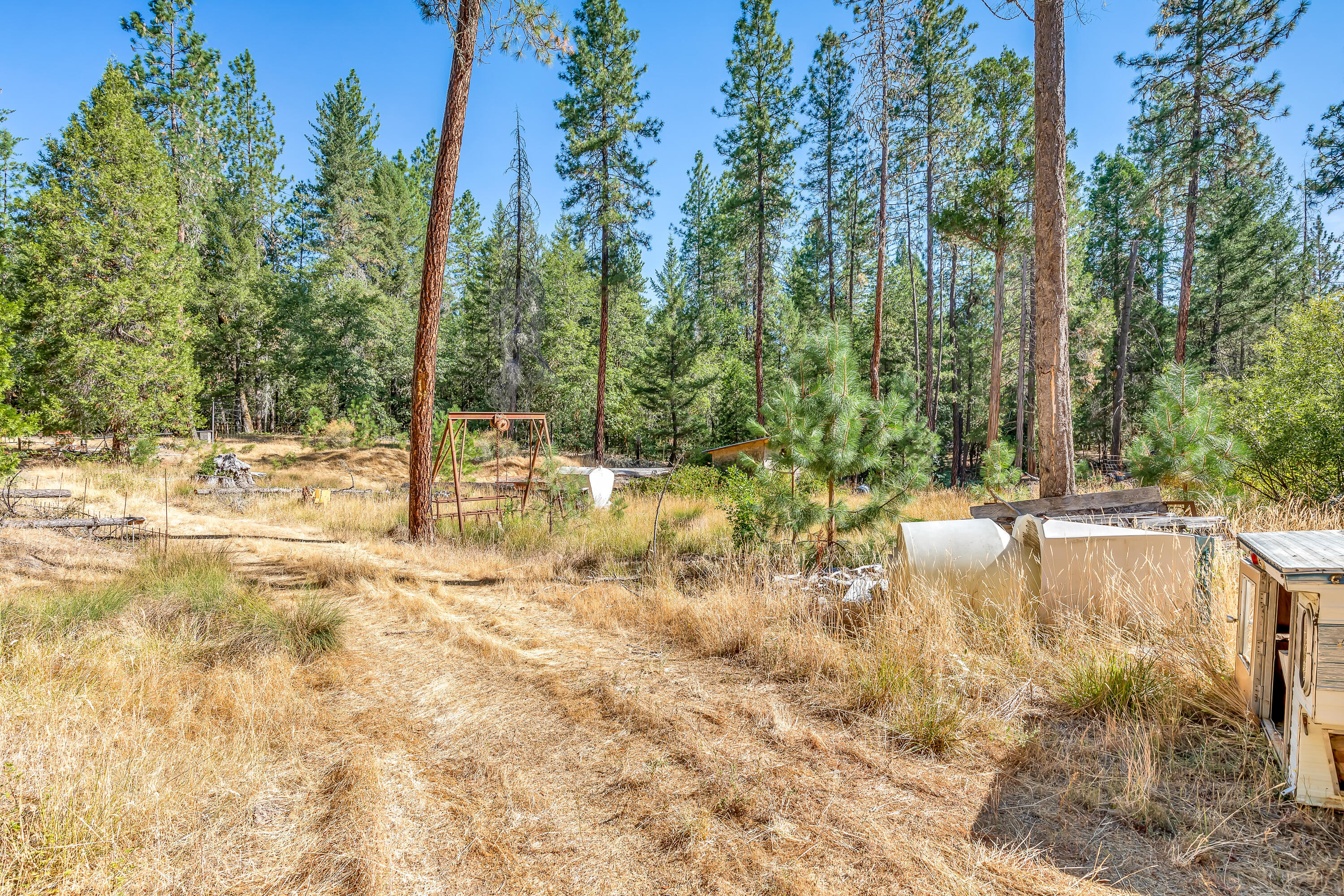 9184 West Evans Creek Road Rogue River, OR 97537 - Photo 25 of 29 a view of a yard with trees