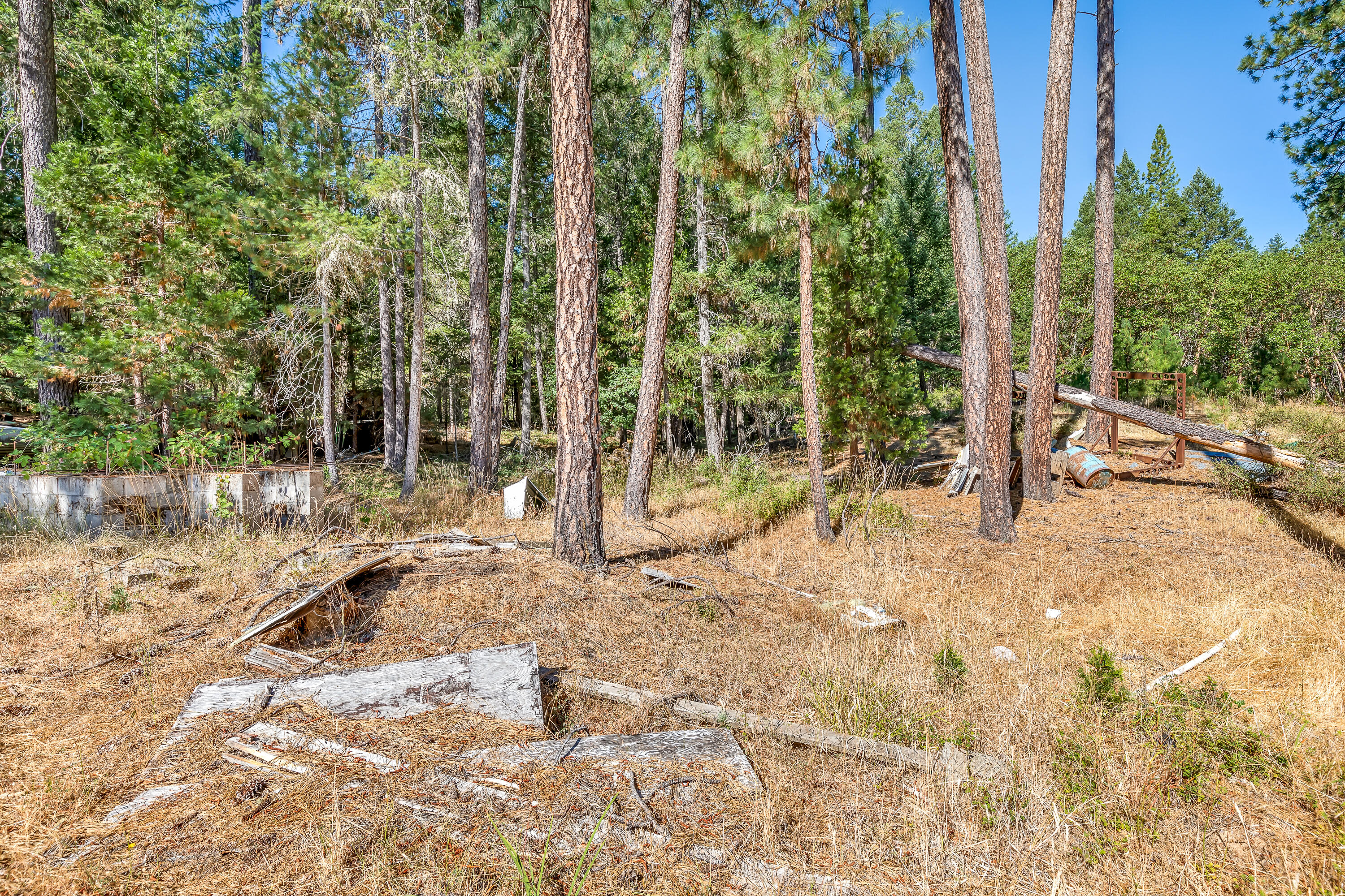 9184 West Evans Creek Road Rogue River, OR 97537 - Photo 26 of 29 a backyard of a house with lots of green space and chair