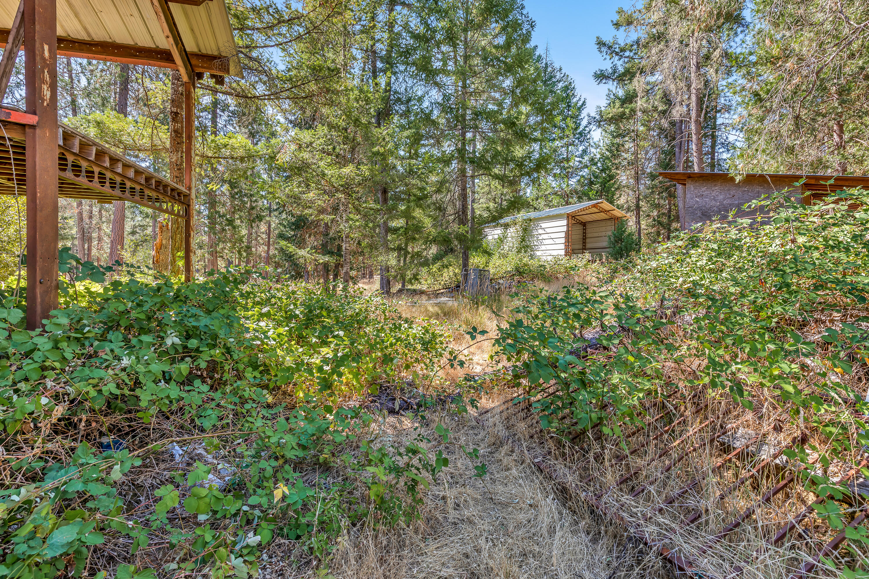 9184 West Evans Creek Road Rogue River, OR 97537 - Photo 27 of 29 a view of a garden with a bench and trees
