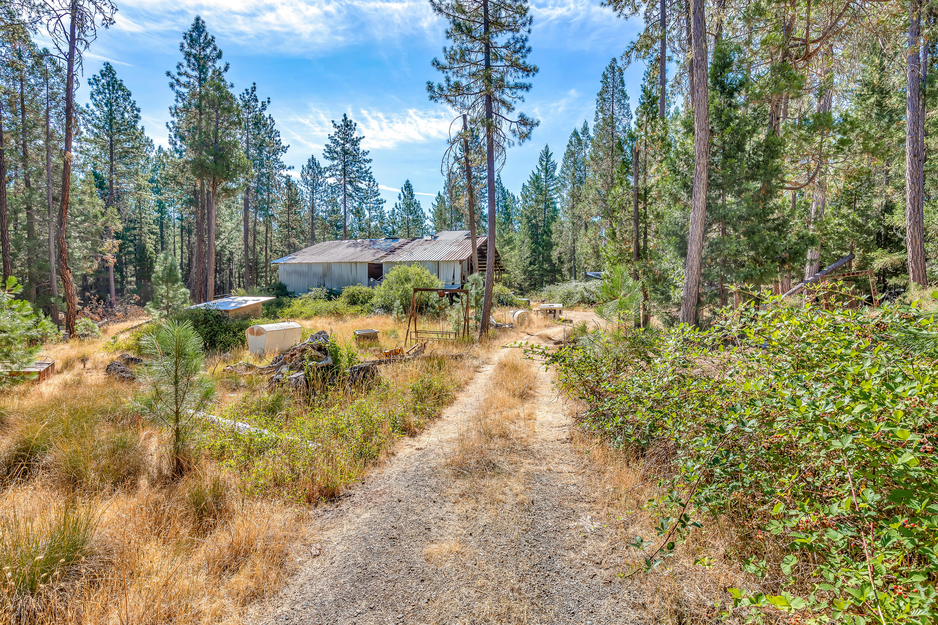 9184 West Evans Creek Road Rogue River, OR 97537 - Photo 28 of 29 a view of a yard with plants and trees
