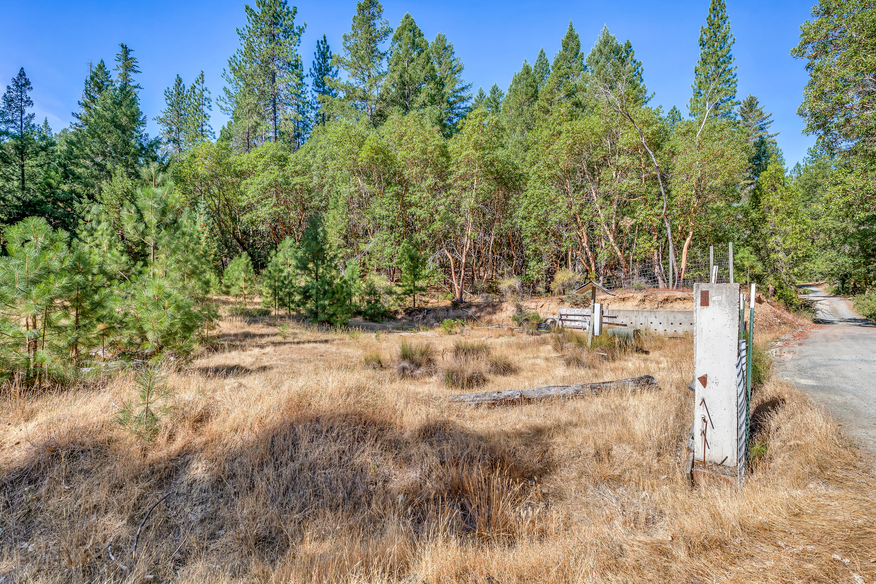 9184 West Evans Creek Road Rogue River, OR 97537 - Photo 29 of 29 a view of yard with trees