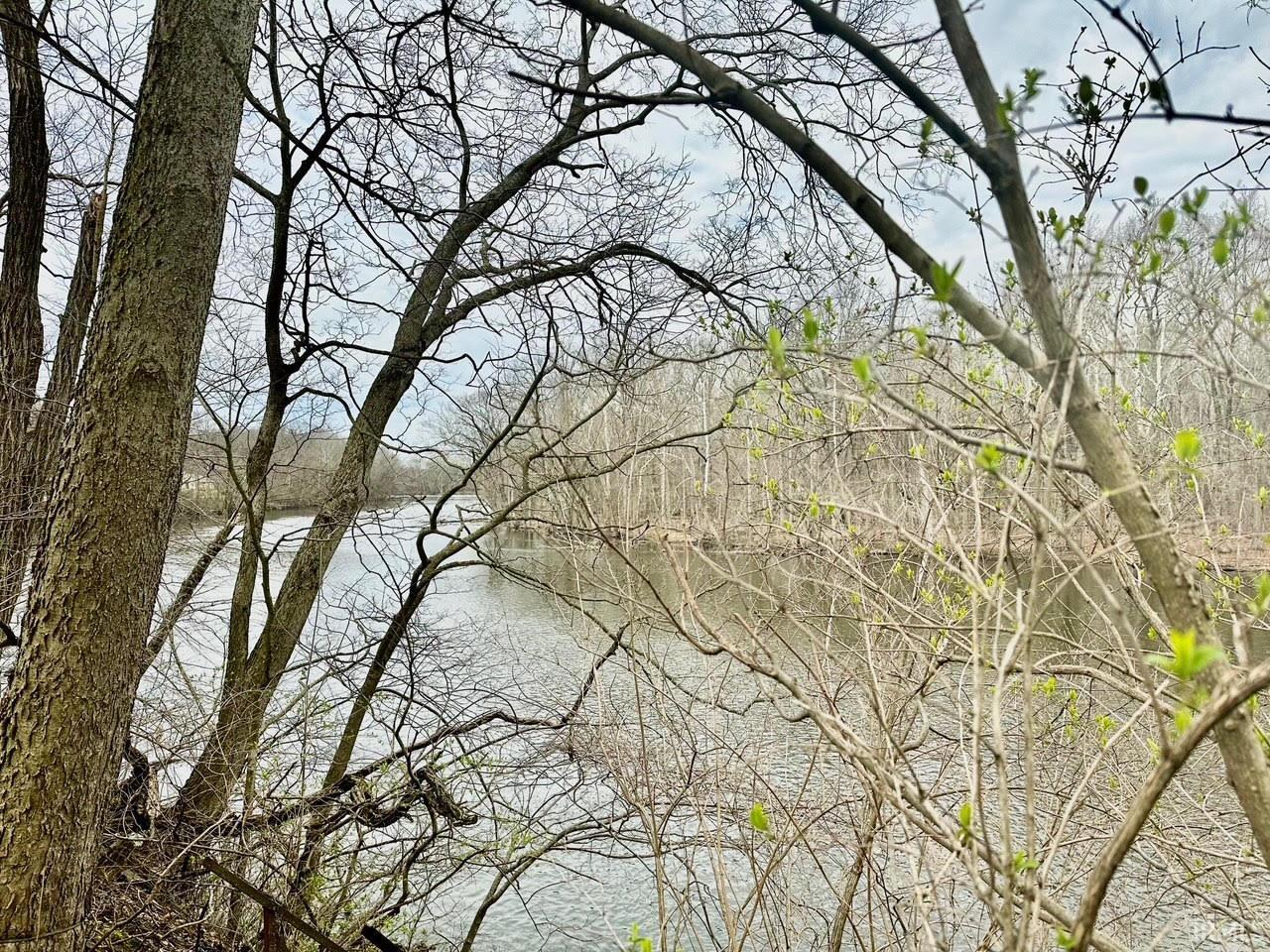 51293 Antone Road Bristol, IN 46507 - Photo 3 of 4