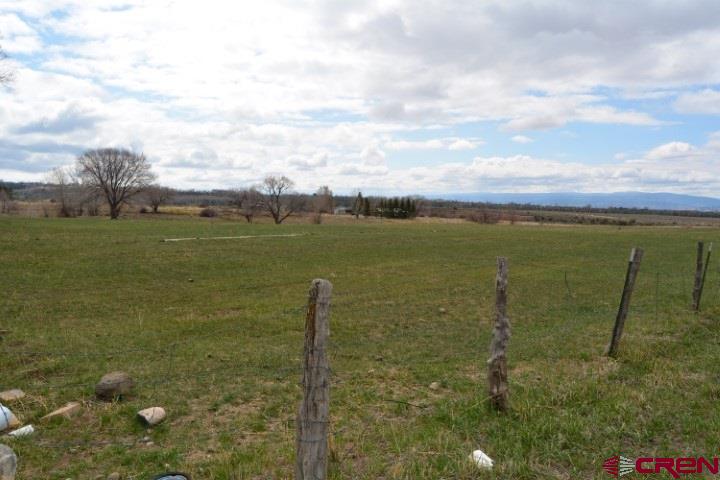14986 2600th Road Cedaredge, CO 81413 - Photo 4 of 35