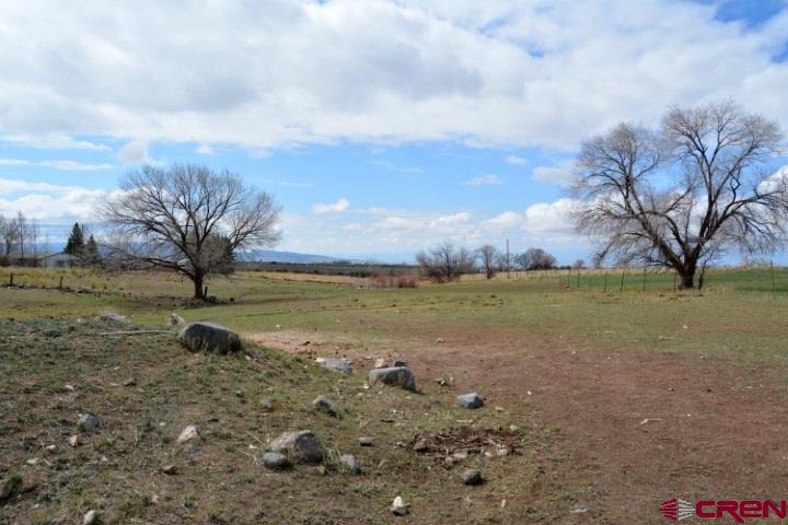 14986 2600th Road Cedaredge, CO 81413 - Photo 7 of 35