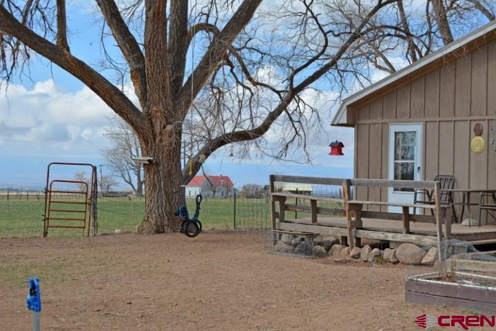 14986 2600th Road Cedaredge, CO 81413 - Photo 8 of 35