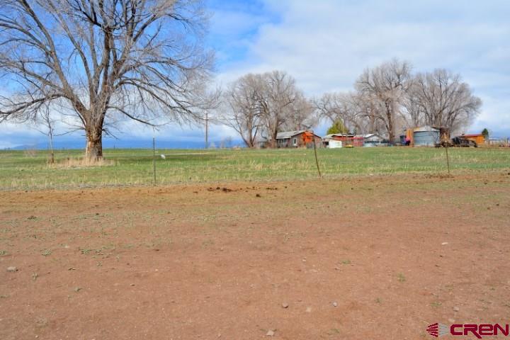 14986 2600th Road Cedaredge, CO 81413 - Photo 9 of 35