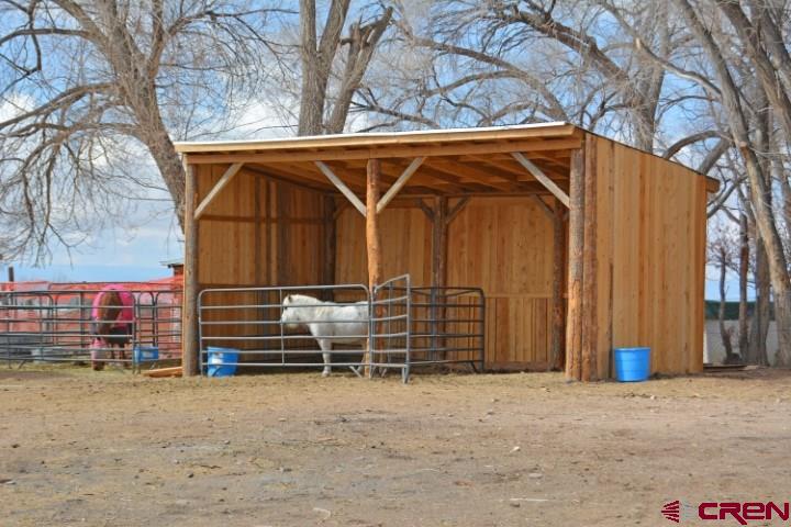 14986 2600th Road Cedaredge, CO 81413 - Photo 10 of 35
