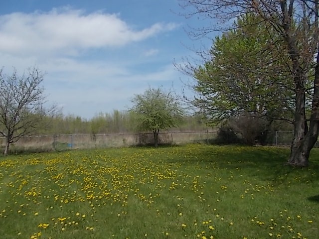 10478 Buck Road Freeland, MI 48623 - Photo 20 of 22