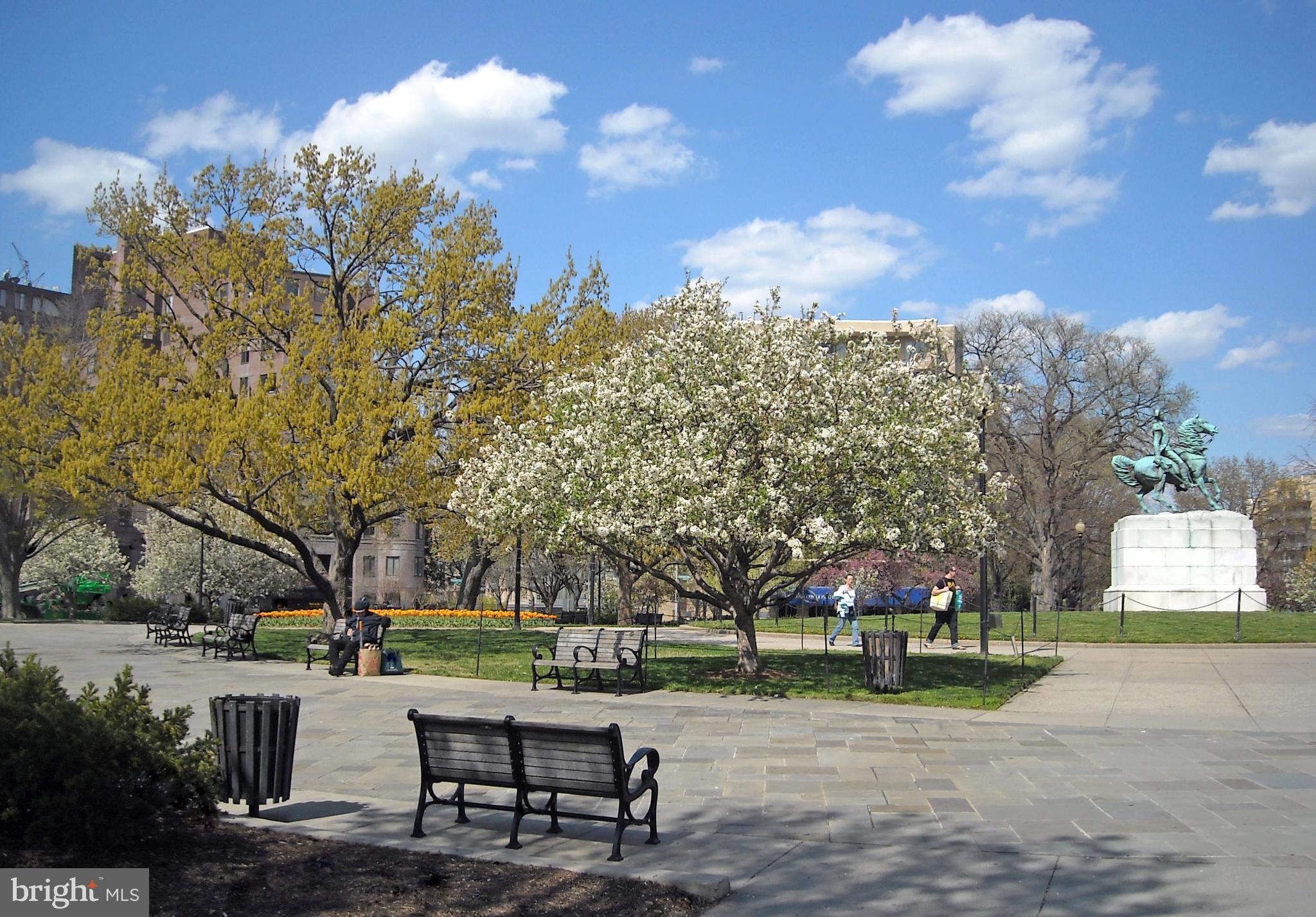 19 Snows Court Northwest Washington, DC 20037 - Photo 21 of 21 a view of a park with large trees