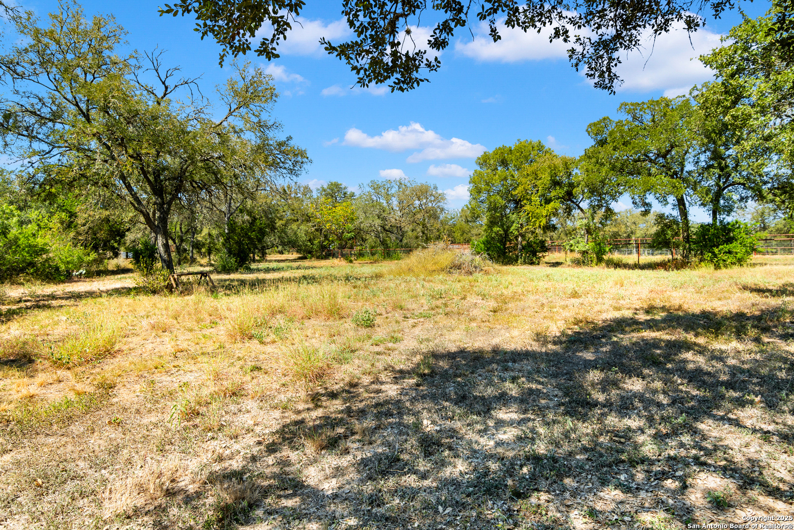 4025 Marion Road Marion, TX 78124 - Photo 45 of 60 a view of a yard with a tree