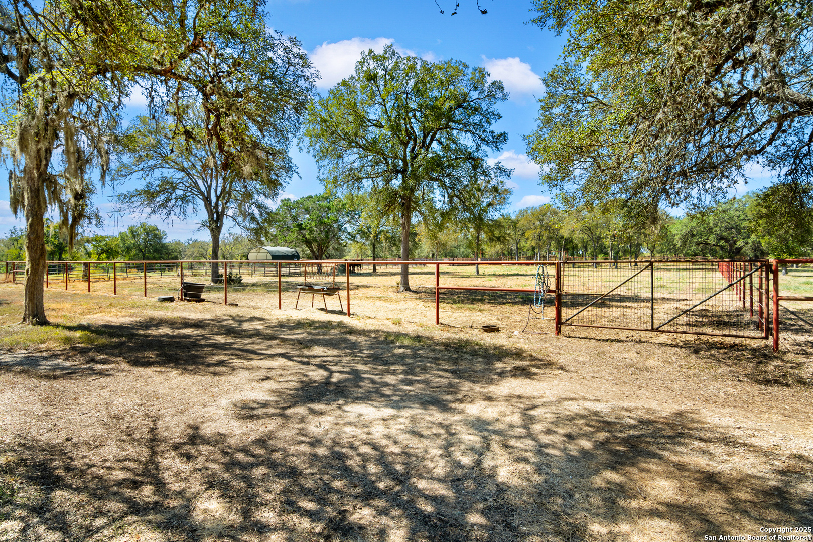 4025 Marion Road Marion, TX 78124 - Photo 47 of 60 a view of yard with trees
