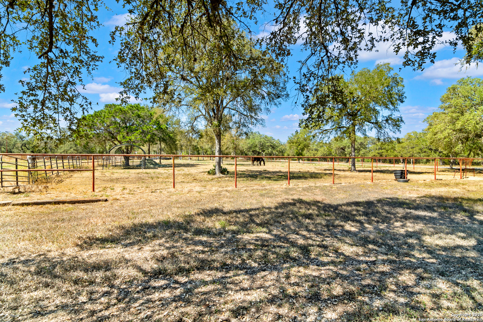 4025 Marion Road Marion, TX 78124 - Photo 50 of 60 a view of yard with trees